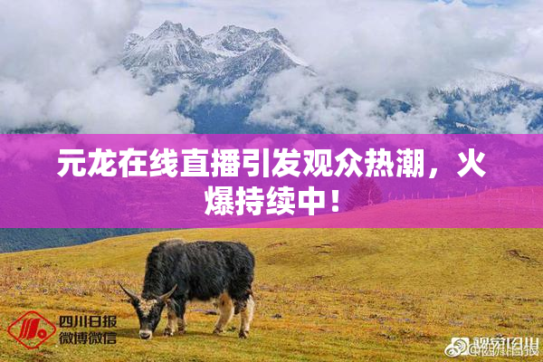 元龙在线直播引发观众热潮，火爆持续中！