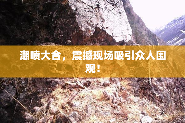 潮喷大合，震撼现场吸引众人围观！