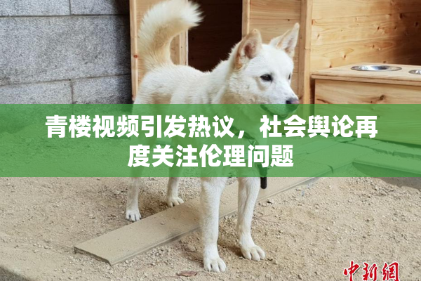 青楼视频引发热议，社会舆论再度关注伦理问题