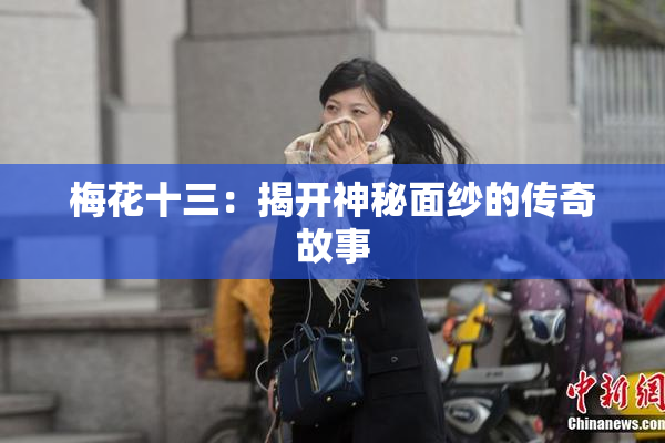 梅花十三：揭开神秘面纱的传奇故事