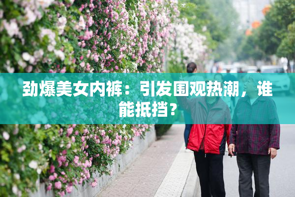 劲爆美女内裤：引发围观热潮，谁能抵挡？