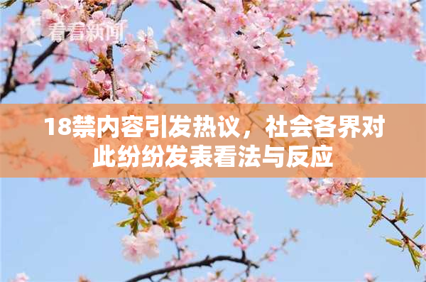 18禁内容引发热议，社会各界对此纷纷发表看法与反应