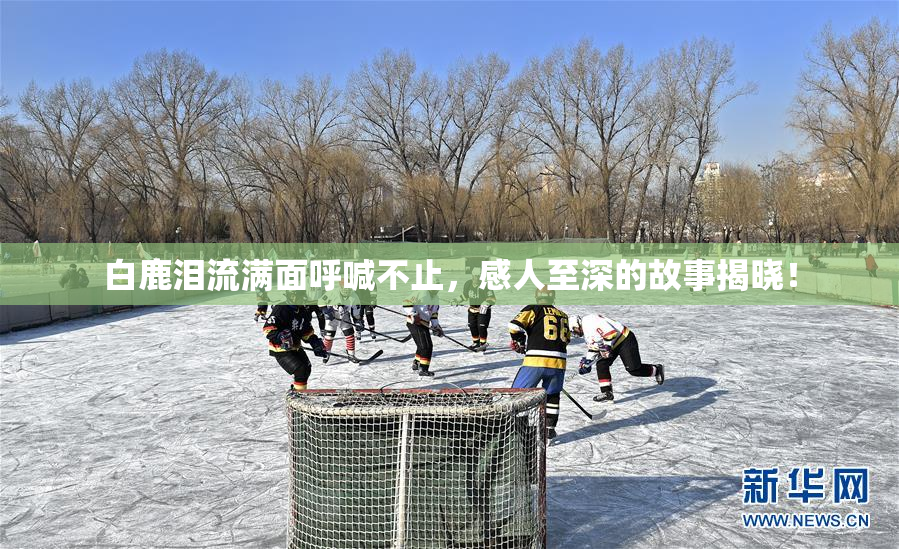 白鹿泪流满面呼喊不止，感人至深的故事揭晓！