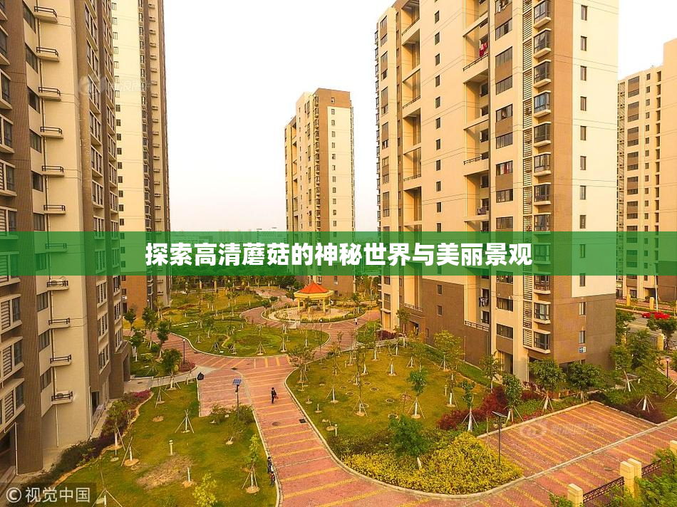探索高清蘑菇的神秘世界与美丽景观