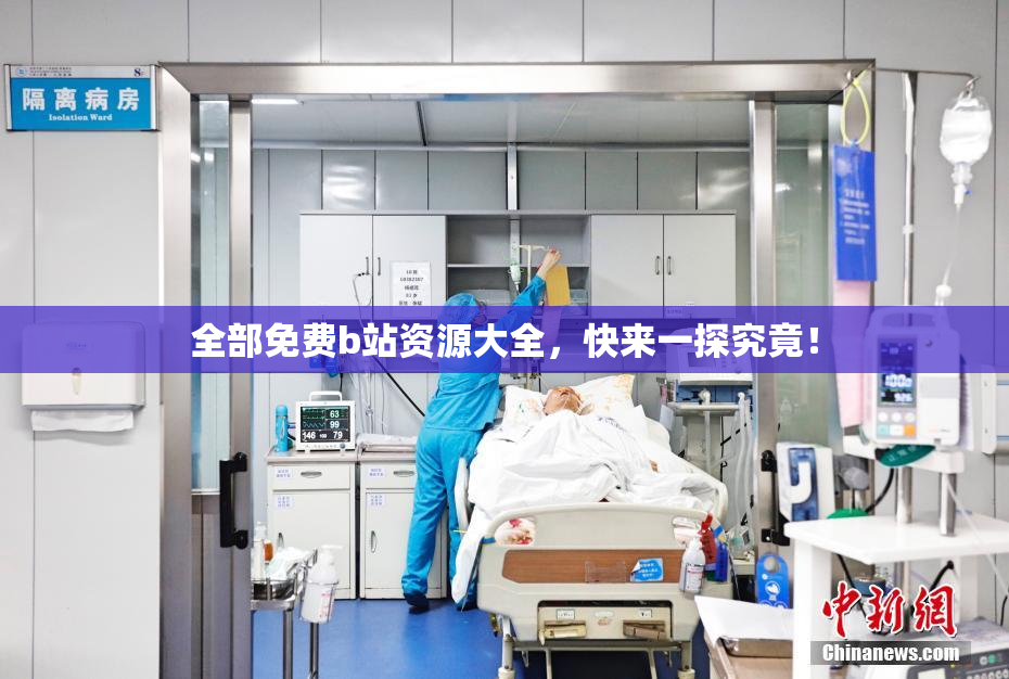 全部免费b站资源大全，快来一探究竟！