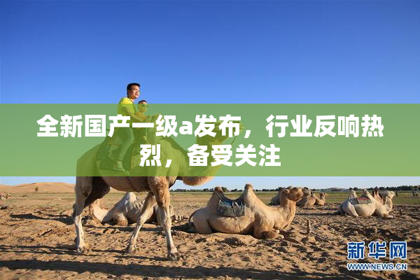 全新国产一级a发布，行业反响热烈，备受关注