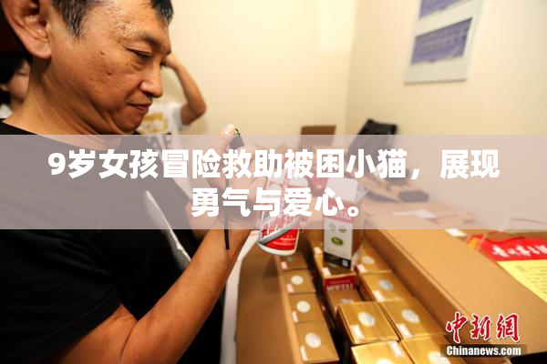 9岁女孩冒险救助被困小猫，展现勇气与爱心。