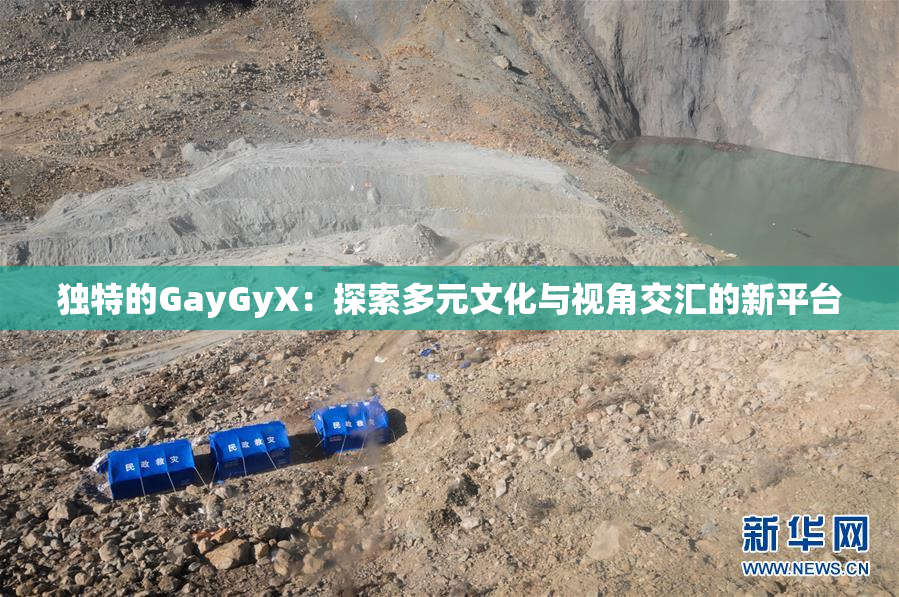 独特的GayGyX：探索多元文化与视角交汇的新平台