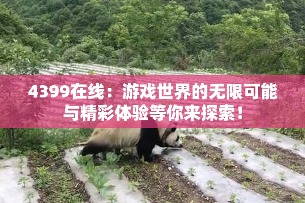 4399在线：游戏世界的无限可能与精彩体验等你来探索！