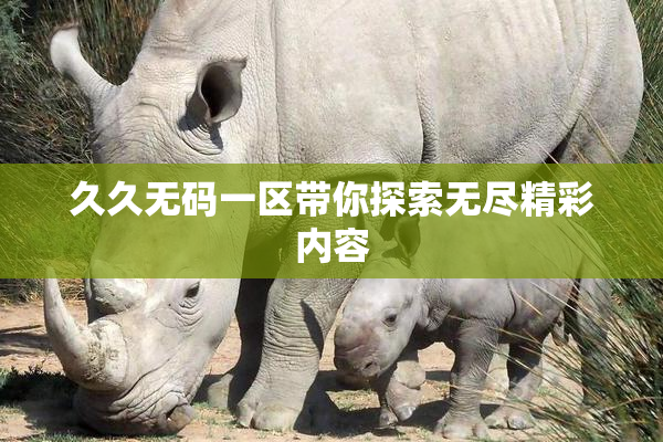 久久无码一区带你探索无尽精彩内容