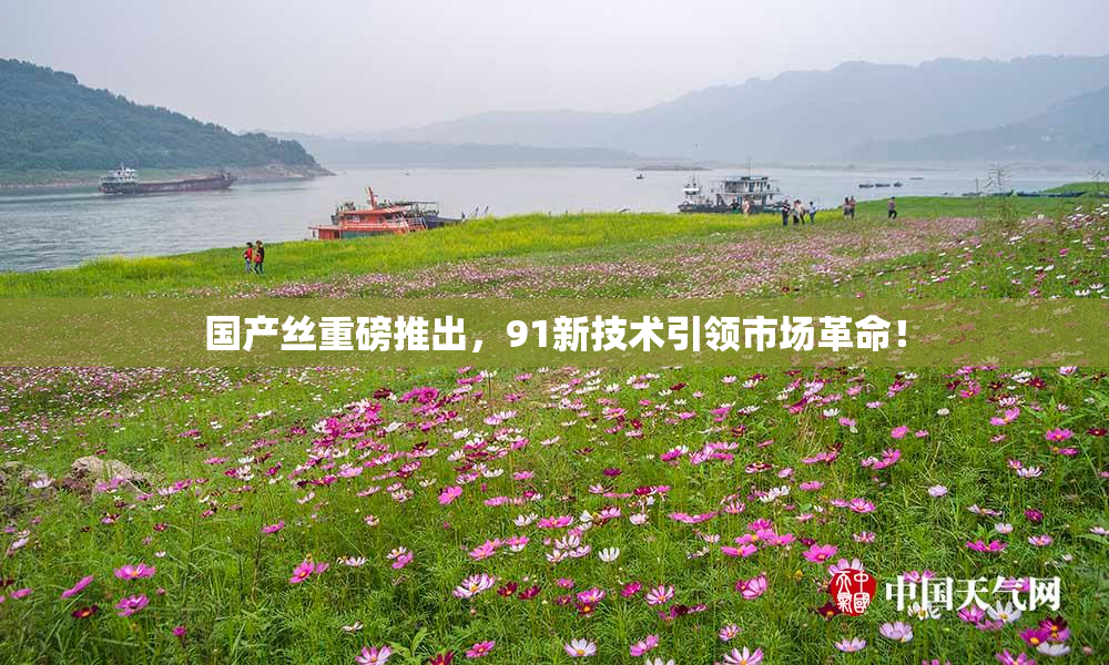 国产丝重磅推出，91新技术引领市场革命！