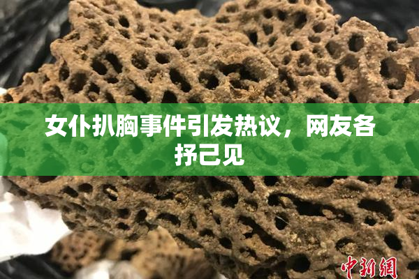 女仆扒胸事件引发热议，网友各抒己见