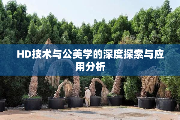 HD技术与公美学的深度探索与应用分析