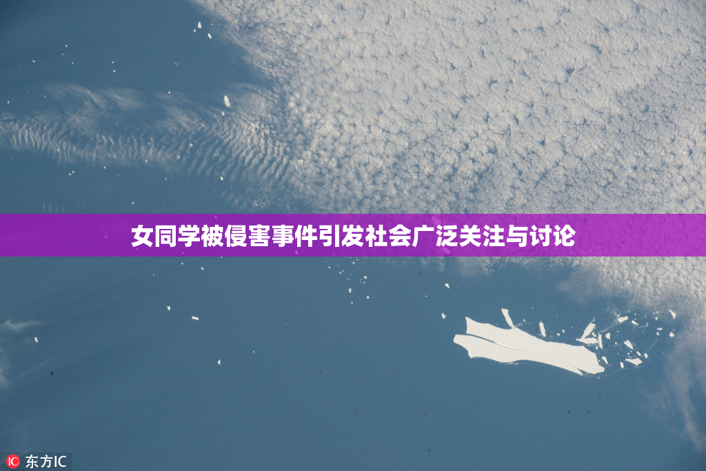 女同学被侵害事件引发社会广泛关注与讨论