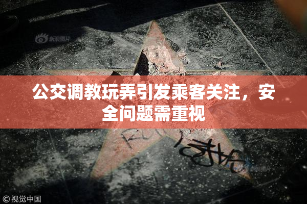 公交调教玩弄引发乘客关注，安全问题需重视