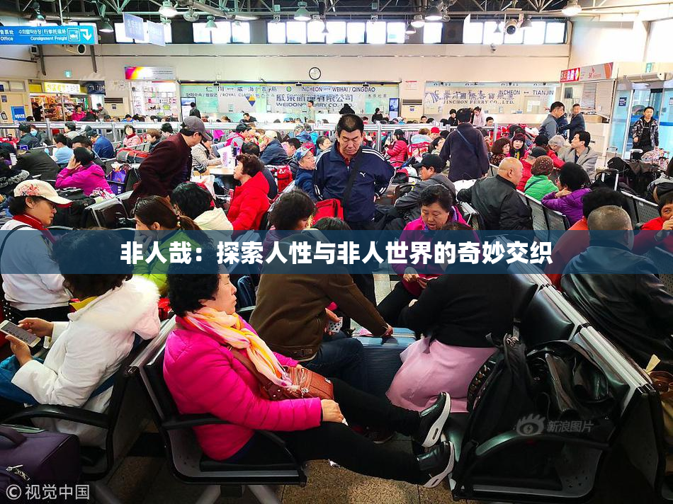 非人哉：探索人性与非人世界的奇妙交织