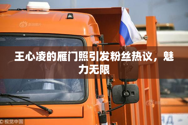 王心凌的雁门照引发粉丝热议，魅力无限
