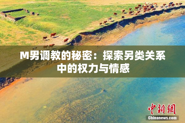 M男调教的秘密：探索另类关系中的权力与情感