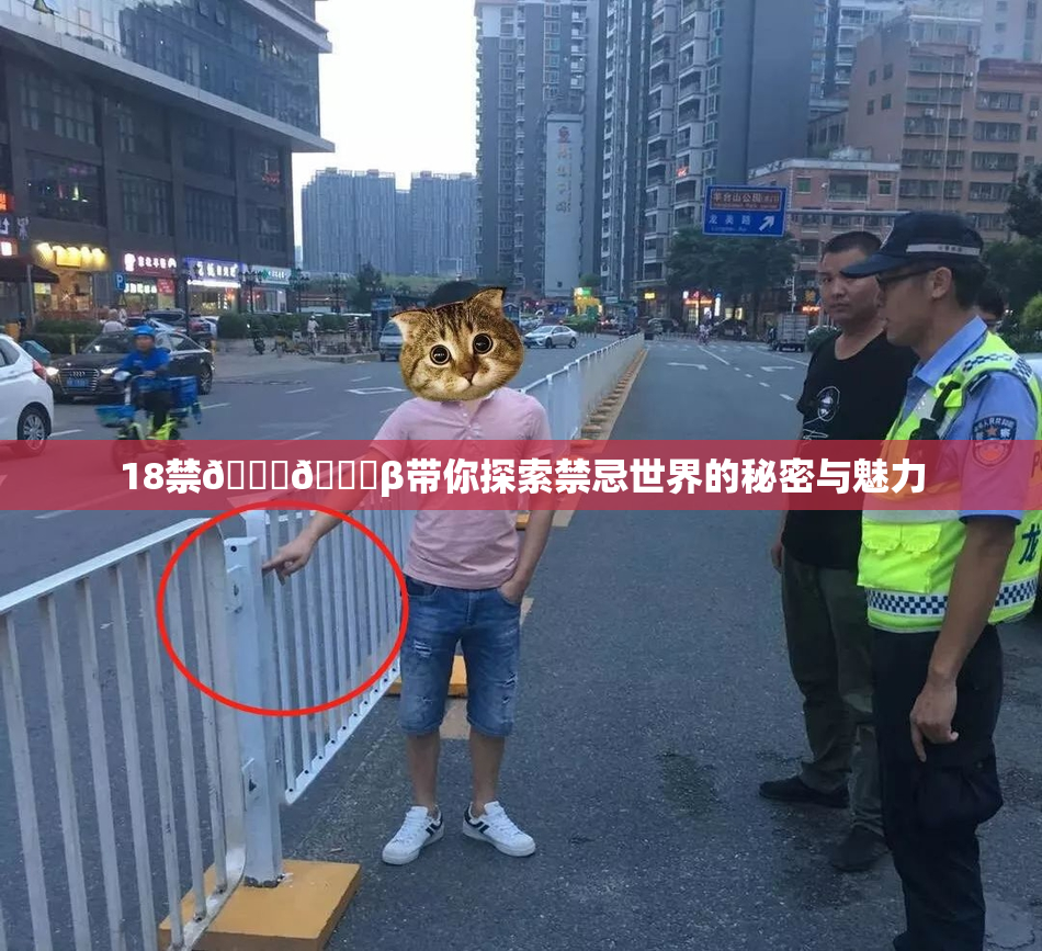 18禁🍆🍑β带你探索禁忌世界的秘密与魅力