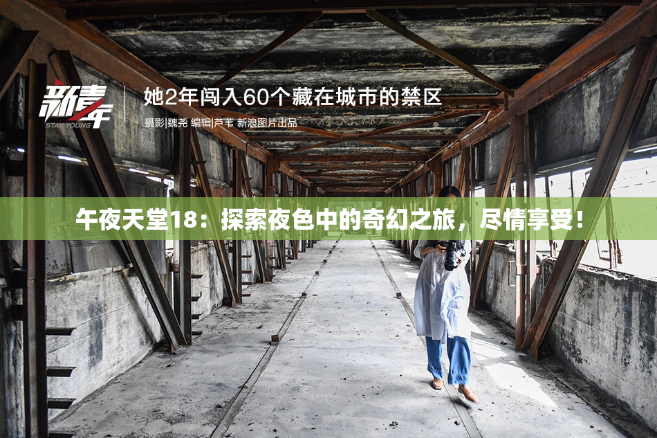 午夜天堂18：探索夜色中的奇幻之旅，尽情享受！