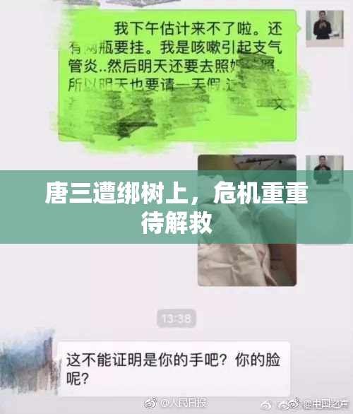 唐三遭绑树上，危机重重待解救