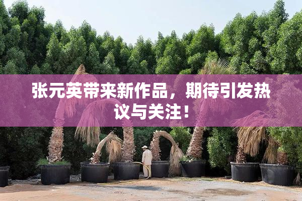 张元英带来新作品，期待引发热议与关注！