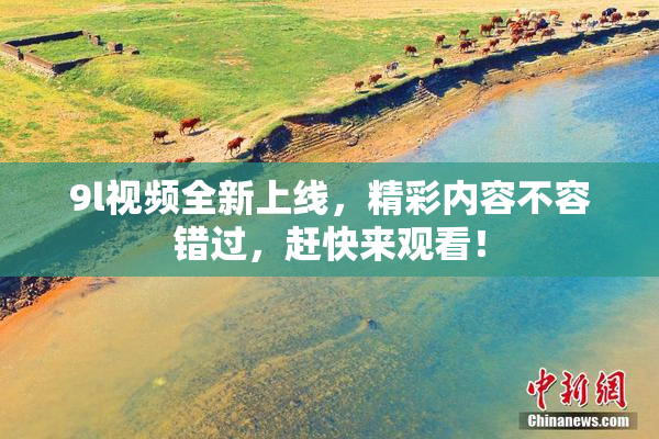 9l视频全新上线，精彩内容不容错过，赶快来观看！