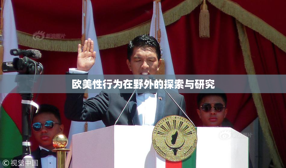 欧美性行为在野外的探索与研究