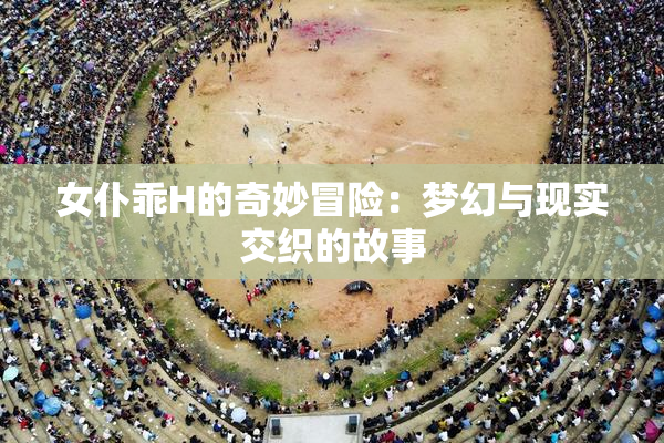 女仆乖H的奇妙冒险：梦幻与现实交织的故事