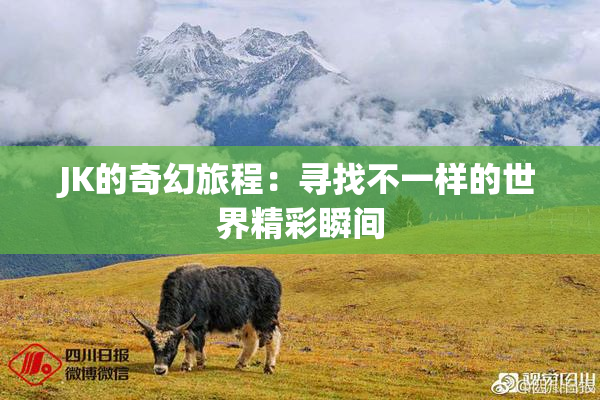 JK的奇幻旅程：寻找不一样的世界精彩瞬间