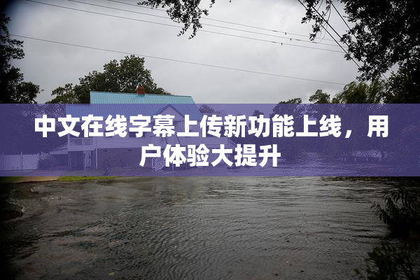 中文在线字幕上传新功能上线，用户体验大提升