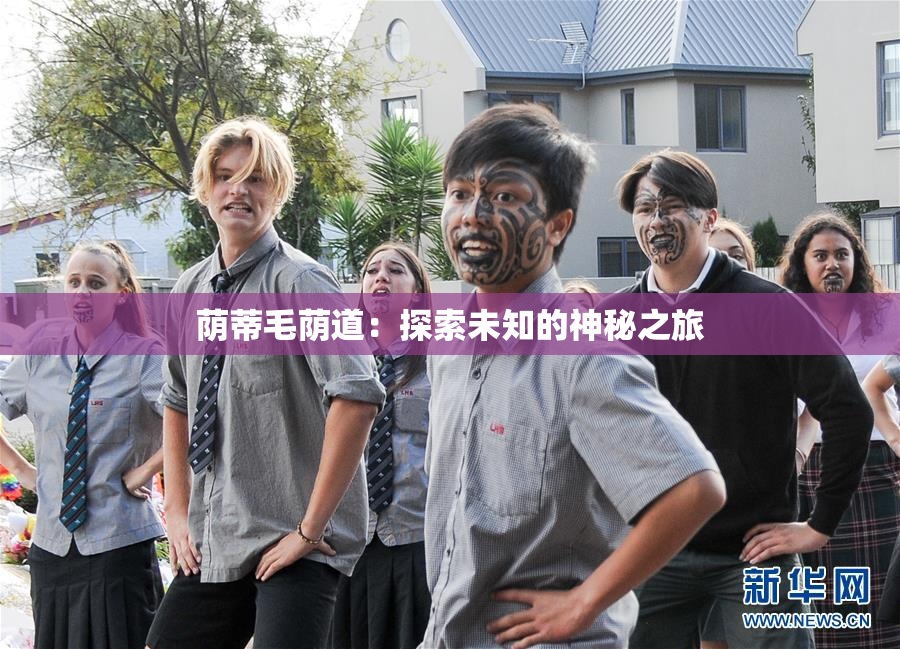 荫蒂毛荫道：探索未知的神秘之旅