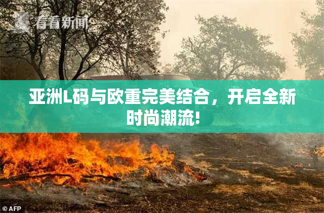 亚洲L码与欧重完美结合，开启全新时尚潮流!
