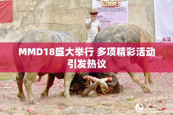 MMD18盛大举行 多项精彩活动引发热议