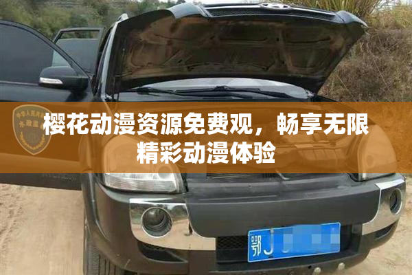 樱花动漫资源免费观，畅享无限精彩动漫体验