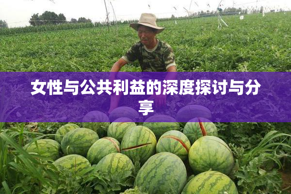 女性与公共利益的深度探讨与分享