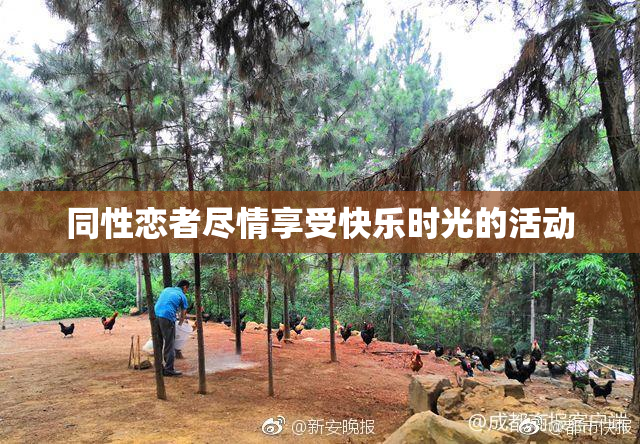 同性恋者尽情享受快乐时光的活动