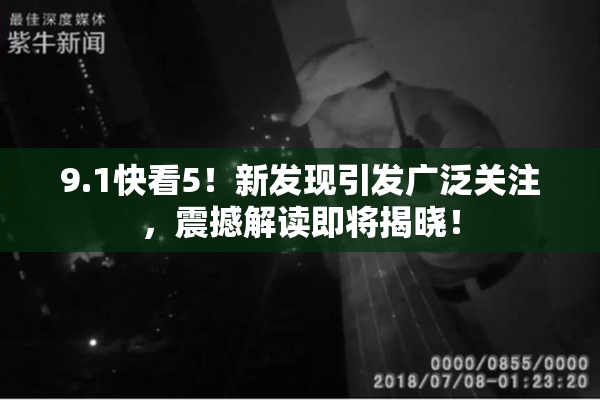 9.1快看5！新发现引发广泛关注，震撼解读即将揭晓！