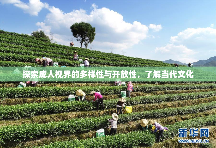 探索成人视界的多样性与开放性，了解当代文化