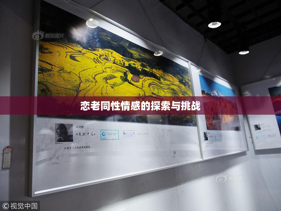 恋老同性情感的探索与挑战