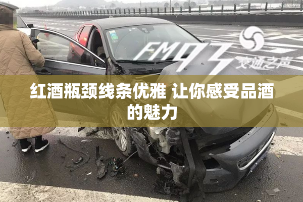红酒瓶颈线条优雅 让你感受品酒的魅力
