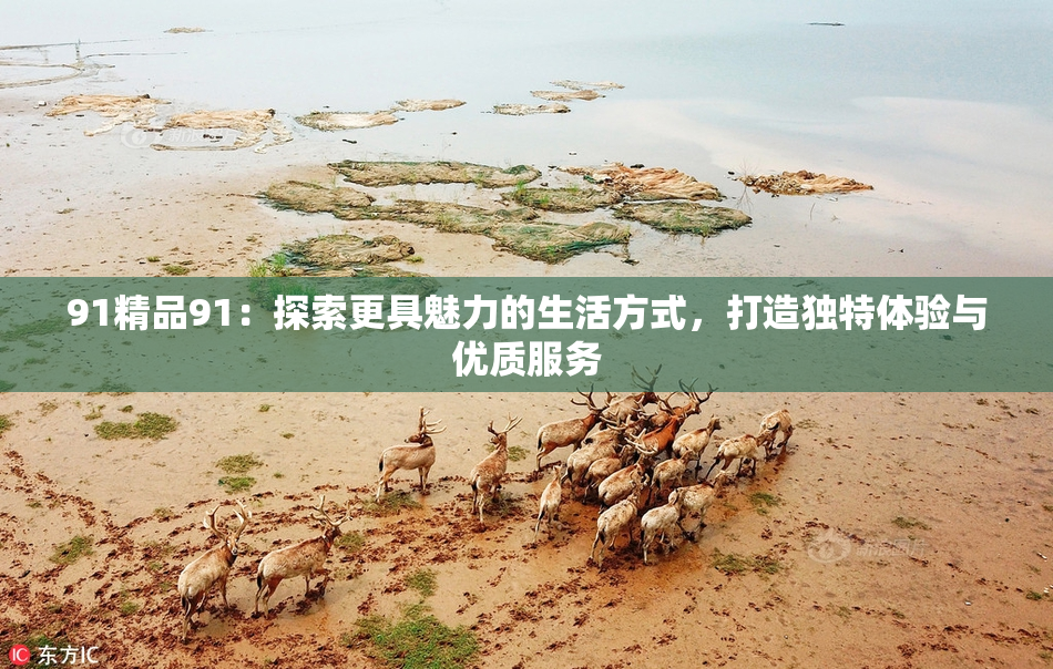 91精品91：探索更具魅力的生活方式，打造独特体验与优质服务
