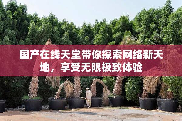 国产在线天堂带你探索网络新天地，享受无限极致体验