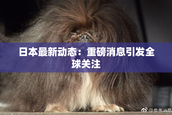 日本最新动态：重磅消息引发全球关注