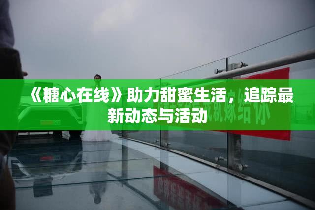 《糖心在线》助力甜蜜生活，追踪最新动态与活动