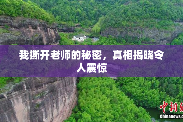 我撕开老师的秘密，真相揭晓令人震惊