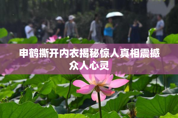 申鹤撕开内衣揭秘惊人真相震撼众人心灵