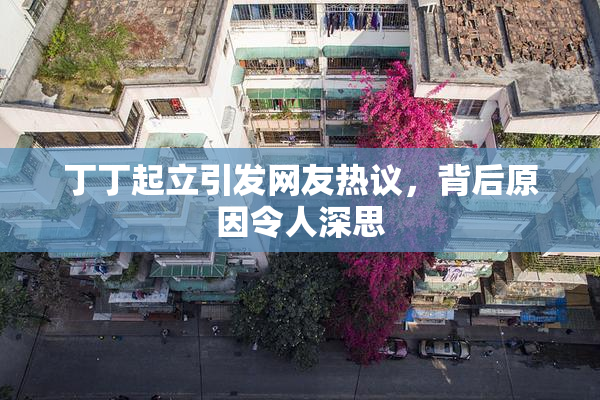 丁丁起立引发网友热议，背后原因令人深思