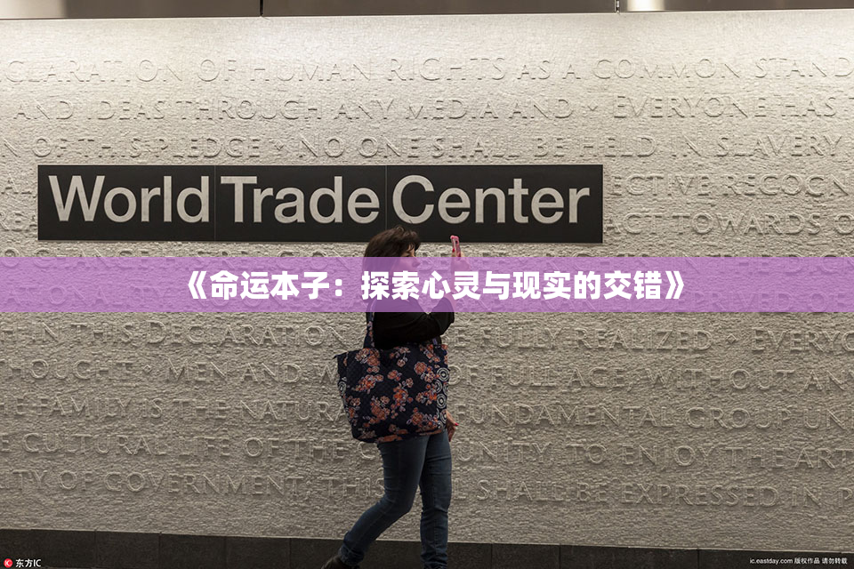 《命运本子：探索心灵与现实的交错》