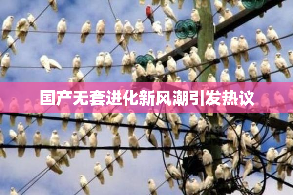 国产无套进化新风潮引发热议